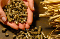 free Stock biomass boiler quotes